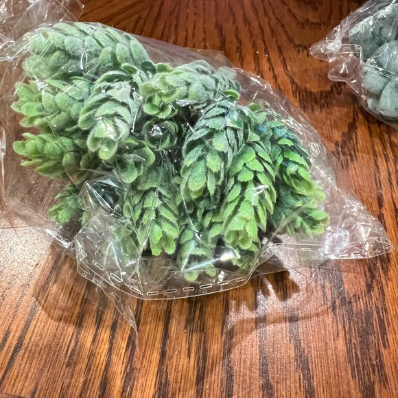 Faux Succulents - Green 16 pcs - Picture 14 of 16